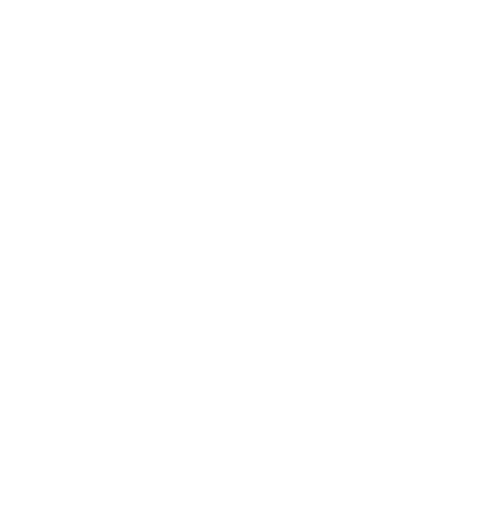 Mr.Black